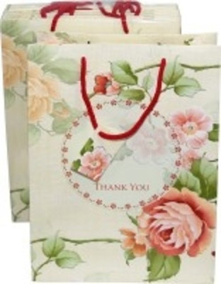 

Paper Bag Zone Printed Party Bag(White, Green, Pack of 10)