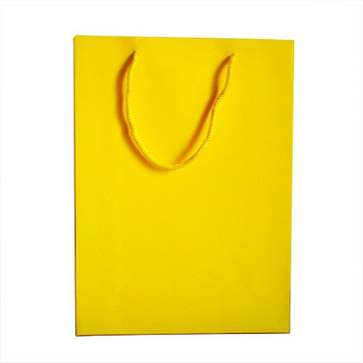 

Paper Bag Zone Solid Party Bag(Yellow, Pack of 10)