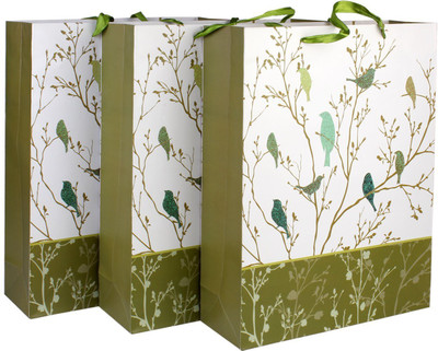 

BlushBees Solid Party Bag(Green, Pack of 3)