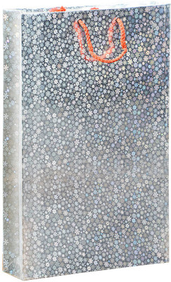 

Bdpp Paper Processers Silver Mettalic Printed Party Bag(Silver, Pack of 10)
