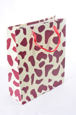 

Enwraps Printed Party Bag(Maroon, Pack of 4)
