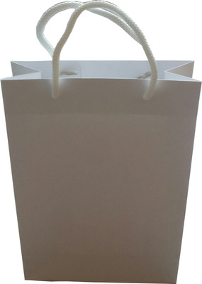 

Paper Bag Zone Party Solid Party Bag(White, Pack of 10)