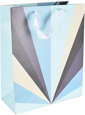 

Enwraps Printed Party Bag(Multicolor, Pack of 4)