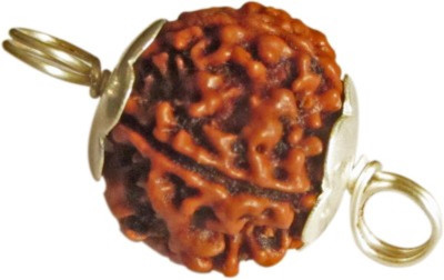 Narayan Religious Shopee 6 Mukhi Rudraksh With Silve Cotton Dori