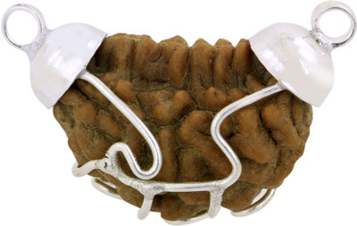 

Avaatar 1 Mukhi Rudraksha Silver Silver Pendant