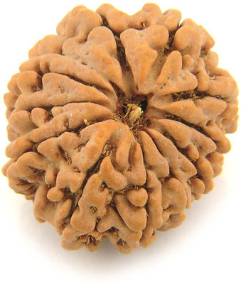 Narayan Religious Shopee 11 Mukhi Rudraksha Silk Dori