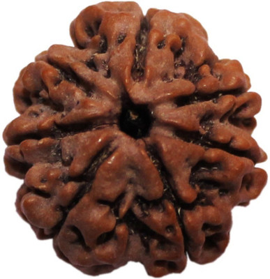 SHIVOHAM 7 Mukhi Rudraksha Wood Pendant