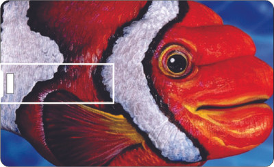 61% OFF on Printland Credit Card Fish Eye 8 GB Pen Drive(Multicolor)