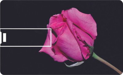 53% OFF on Printland Credit Card Pink Flower 8 GB Pen Drive(Multicolor)