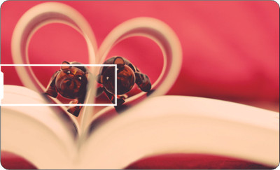 61% OFF on Printland Credit Card Printland Love 8 GB Pen Drive(Multicolor)