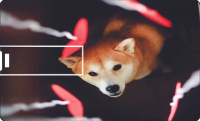 50% OFF on Printland Credit Card Cute Pup_1 8 GB Pen Drive(Multicolor) 50% OFF on Printland Credit Card Cute Pup_1 8 GB Pen Drive(Multicolor)