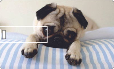 53% OFF on Printland Credit Card Cute Pup 8 GB Pen Drive(Multicolor)