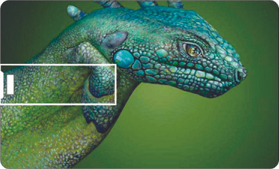 50% OFF on Printland Credit Card Green Colored 8 GB Pen Drive(Green) 50% OFF on Printland Credit Card Green Colored 8 GB Pen Drive(Green)