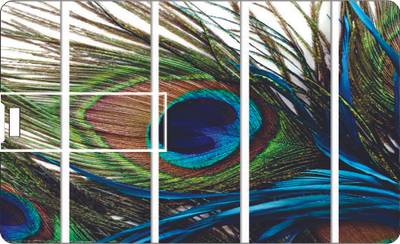 Printland Credit Card Feather Card 8 GB Pen Drive
