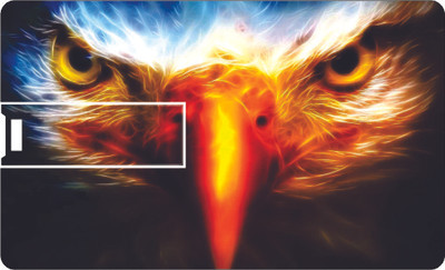 61% OFF on Printland Credit card Look in the Eye 8 GB Pen Drive(Multicolor)