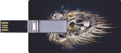 Printland Credit Card Metal 8 GB Pen Drive
