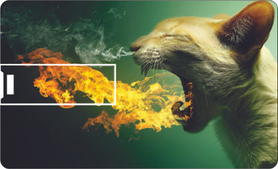 69% OFF on Printland Credit Card Fire Kitty Pen Drive 8 GB Pen Drive(Multicolor)