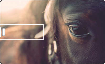 61% OFF on Printland Credit card Sad Eye 8 GB Pen Drive(Multicolor)