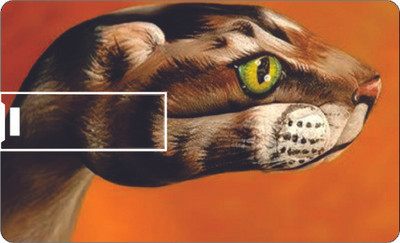 50% OFF on Printland Credit Card Eyed 8 GB Pen Drive(Orange) 50% OFF on Printland Credit Card Eyed 8 GB Pen Drive(Orange)