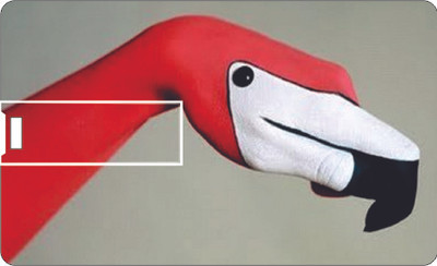 53% OFF on Printland Credit Card Multi Color 8 GB Pen Drive(Multicolor)