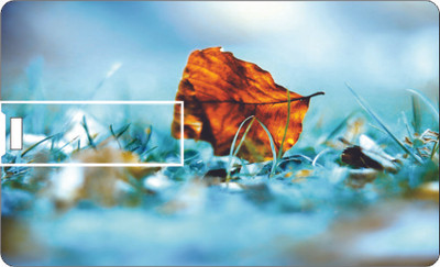 61% OFF on Printland Credit Card Winters 8 GB Pen Drive(Blue) 61% OFF on Printland Credit Card Winters 8 GB Pen Drive(Blue)