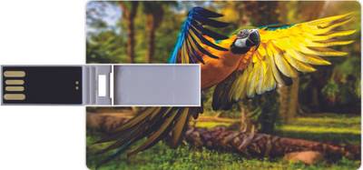 Printland Credit Card Bird 8 GB Pen Drive