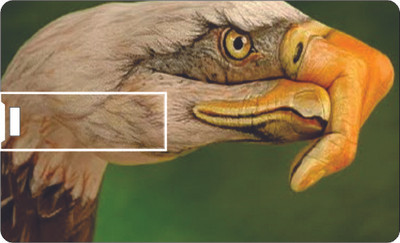 50% OFF on Printland Credit Card Owl 8 GB Pen Drive(Multicolor)