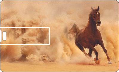 61% OFF on Printland Credit card Running Horse 8 GB Pen Drive(Multicolor) 61% OFF on Printland Credit card Running Horse 8 GB Pen Drive(Multicolor)