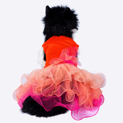 

Petriot Frock for Cat(Orange, Peach, Coral)