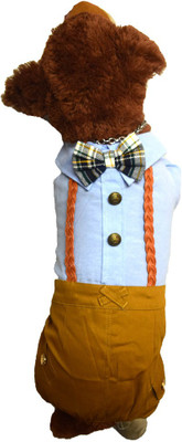 

Paw Zone Dress for Dog(Blue
