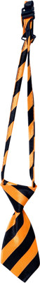 

Scoobee Tie for Dog(orange