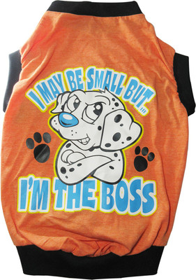 

Canes Venatici T-shirt for Dog(Red, Orange