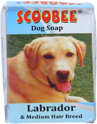 

Scoobee 75 ml Pet Coat Cleanser(Suitable For Dog)
