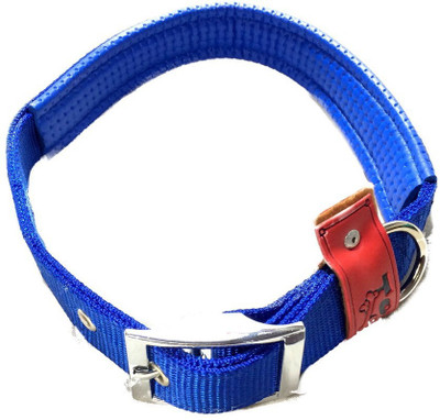 

TommyChew Plain Dog Collar Charm(Blue, Round)