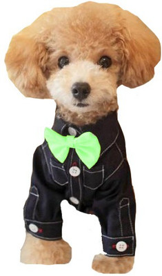 

Futaba Fashion Dog Bowknot Tie - Green Embellished Dog Collar Charm(Green, Other)