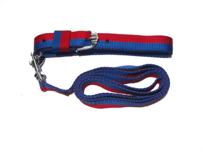 

Agnpetspot. cotton 4ft set 1 inch Plain Dog Collar Charm(Multicolor, Round)