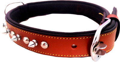 

Skora Plain Dog Collar Charm(Tan, Silver, Round)