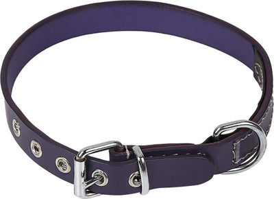 

TommyChew Designer Plain Dog Collar Charm(Purple, Round)