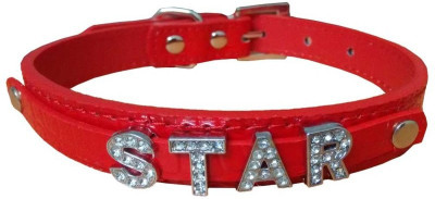 

Paw Zone Alphabet Engraved Dog Collar Charm(Red, Round)