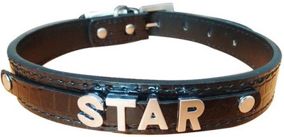 

Paw Zone Alphabet Engraved Dog Collar Charm(Black, Round)
