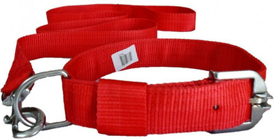 petvala Plain Dog Collar Charm(Red, Other)