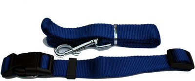 

Ginipet Dog Collar & Leash(Small, BLUE)