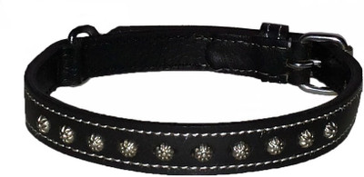

Pethub Standard Collar -Black Dog Everyday Collar(, Black