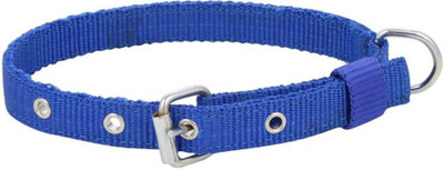

Imago Dog Everyday Collar(, Blue