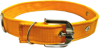 

Sollar's Dog Everyday Collar(, Yellow