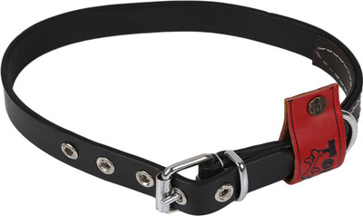 

TommyChew Party Dog Everyday Collar(, Black