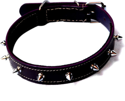 

Pethub SINGLE SPIKE PURPLE  Dog Show Collar(, Purple