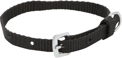 

Excite Bites Dog Everyday Collar(Extra Small, Black, Bites Dog Collar 0.50" (For Puppy) (Size - Extra Small) (Color - Black))