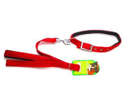 

Ecocart Dog Collar & Leash(, peppy red