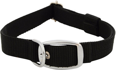 

Excite Bites Dog Everyday Collar(Medium, Black, Dog Adjustable Collar 1" (Size - Medium) (Color - Black))